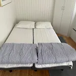 Pikkumoekki Sveastugan Roevik