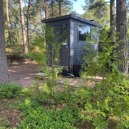 Pikkumoekki Sveastugan