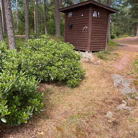 Pikkumoekki Sveastugan